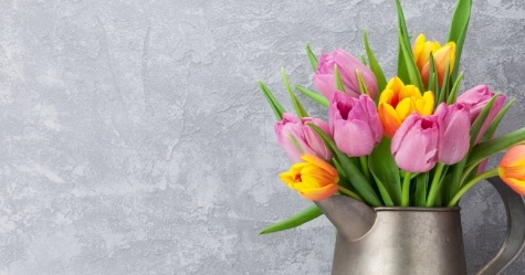 flowers background